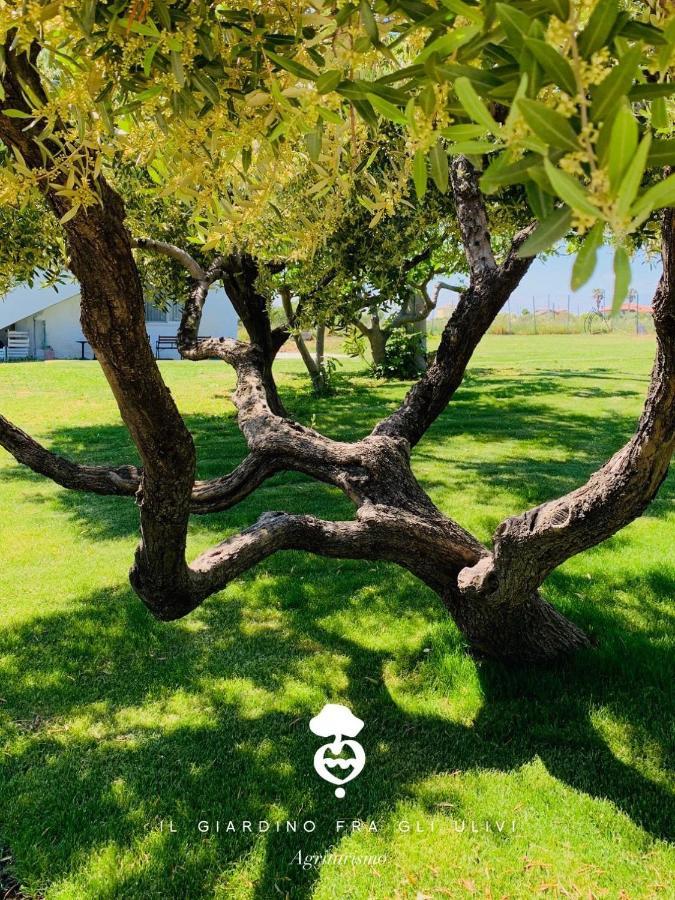 Вилла Relais Il Giardino Fra Gli Ulivi Торино-ди-Сангро Экстерьер фото